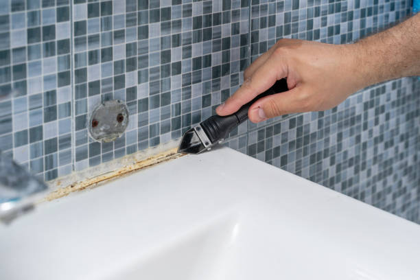 Best Insurance-Related Mold Remediation in Feather Sound, FL